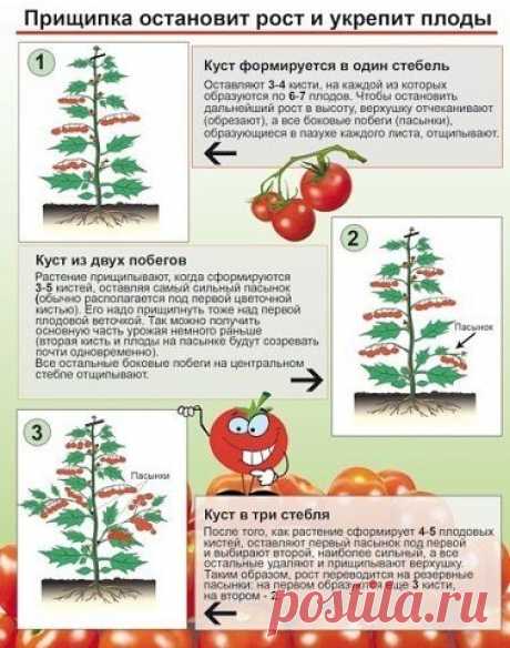 Новости