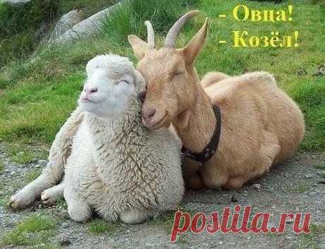 Хи-хи-хи...ржака!
Дмитрий С