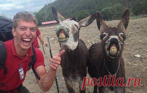 Три весельчака