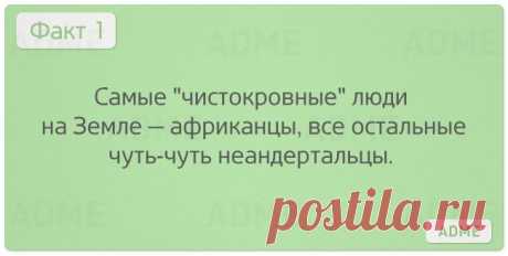 Уважаемым любителям этого интересного