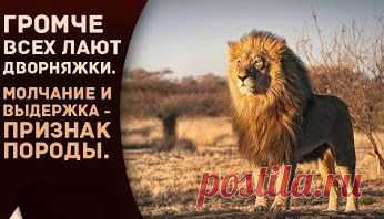 Google+