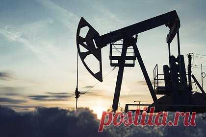 Страна БРИКС собралась нарастить импорт российской нефти