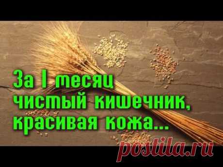 УДИВИТЕЛЬНАЯ польза КЛЕТЧАТКИ для ЗДОРОВЬЯ, МОЛОДОСТИ и ДОЛГОЛЕТИЯ - YouTube