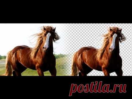 7 уроков по работе с фоном фотографии