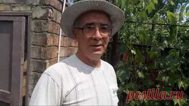 Почему и где на виноградных лозах нельзя прищипывать пасынки .... и еще кое что