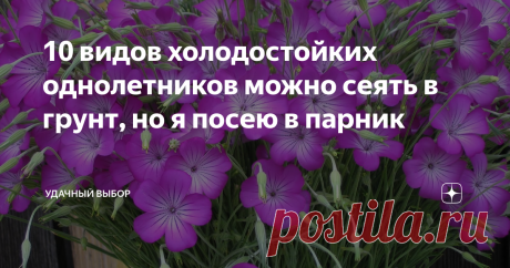 10 видов холодостойких однолетников можно сеять в грунт, но я посею в парник Для чего в парник, а не сразу в грунт, если эти цветы холодостойкие? Буду сеять еще и в мае, а потом рассказывать, как цвели. Подписывайтесь.  А пока об апрельских посевах. 1. Флоксы Друммонда (однолетние) Это цветы, которые мне полюбились. Выращиваю второй год подряд. Цветут все лето до снега. В прошлом году выращивала звездчатые, не понравилась их пестрота. Когда рядом сидишь и любуешься - краси...