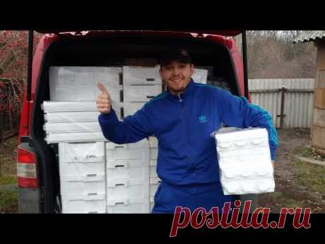 Вся правда об ульях Фадеева/Итог зимовки