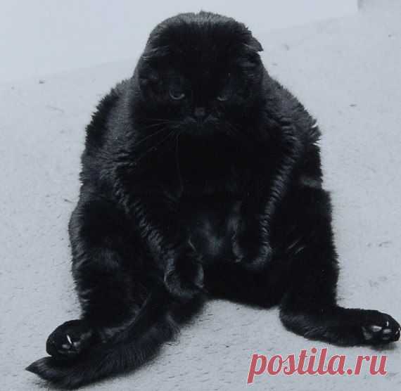 Василий самозабювенно предаётся унынию