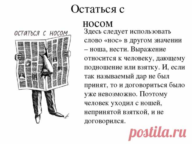 ds_c1PQw3No.jpg (960×720)