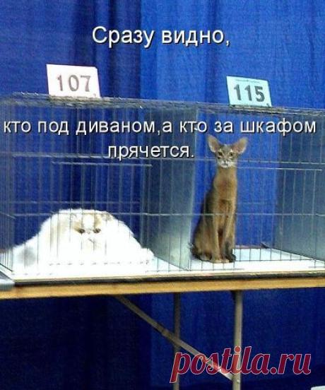 выставка