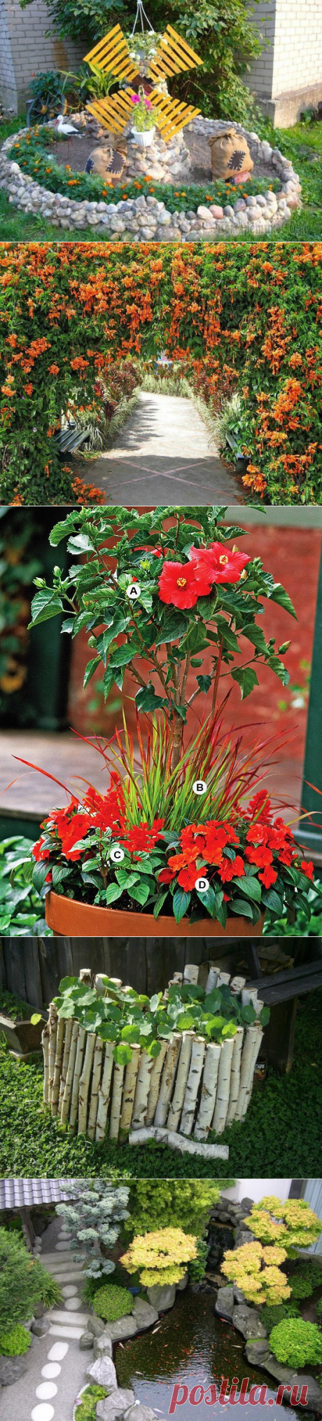 Идеи для клумбы
