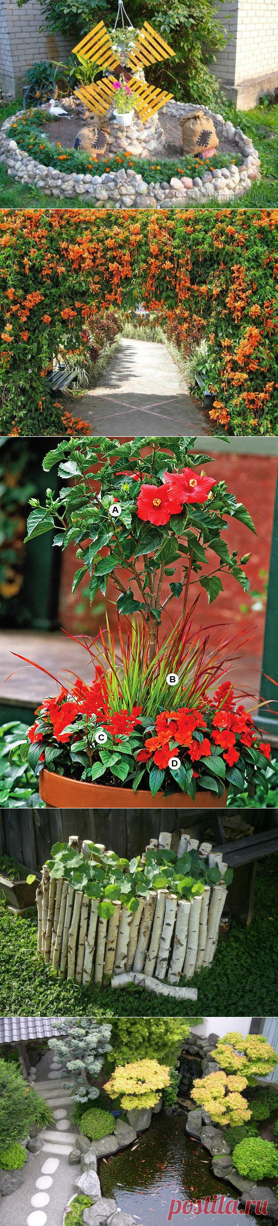 Идеи для клумбы