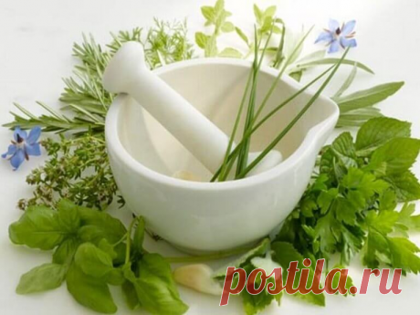 Печень лечят эти травы. | Здоровый Образ Жизни | Яндекс Дзен