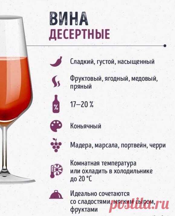 Шпаргалки для тех, кто любит вино — Кулинарная книга - рецепты с фото