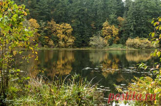 Autumn's Reflections by James Paul Studios / 500px