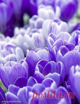 Доброго утра и хорошего дня