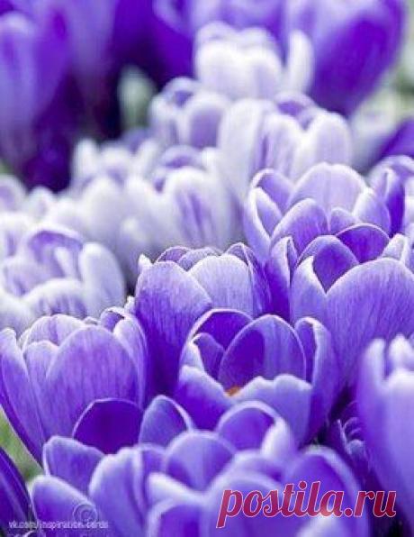 Доброго утра и хорошего дня