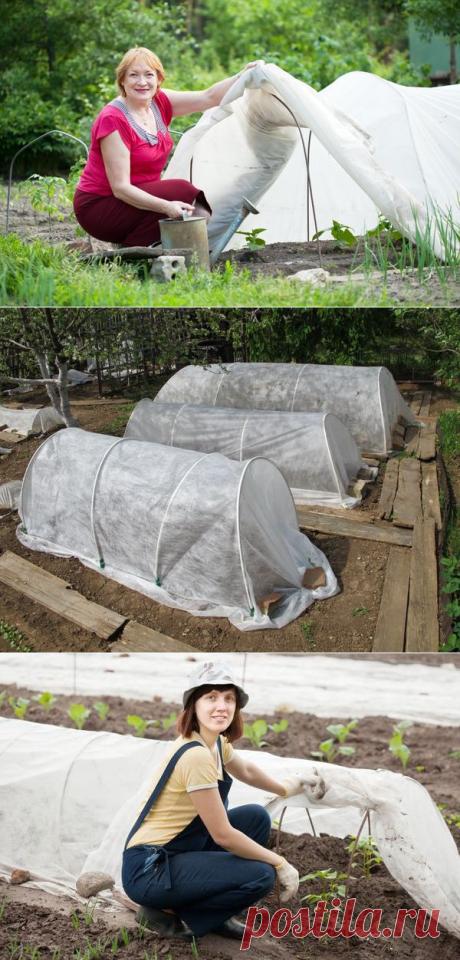 Как и из чего соорудить простой парник на даче