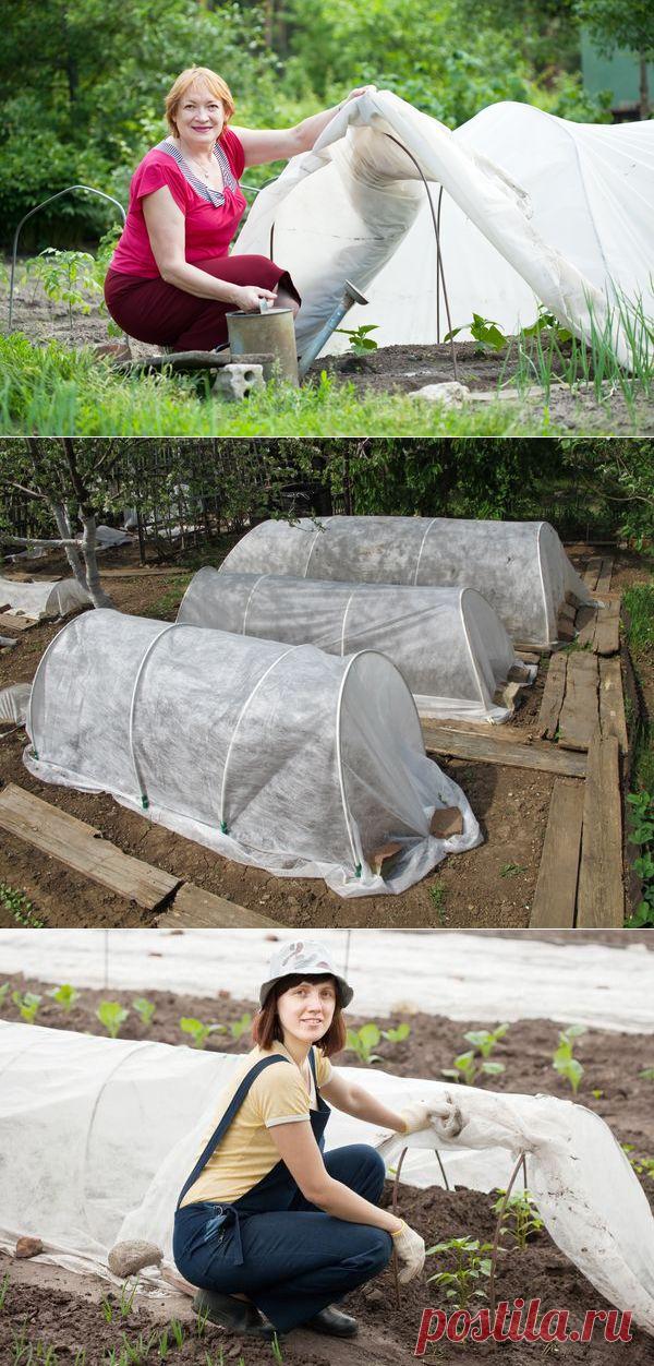 Как и из чего соорудить простой парник на даче