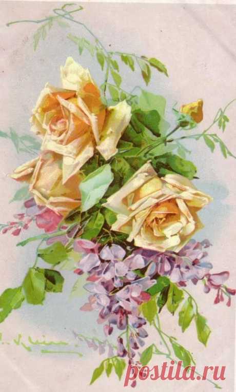 (723) Catherine Klein | China painting