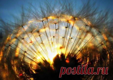 солнце