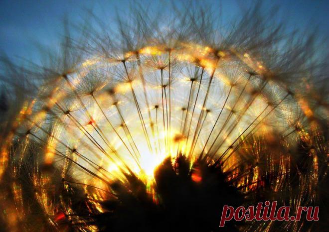 солнце