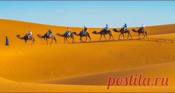 Marrakech Excursion | Desert Tour From Marrakech | Sunny Excursion
