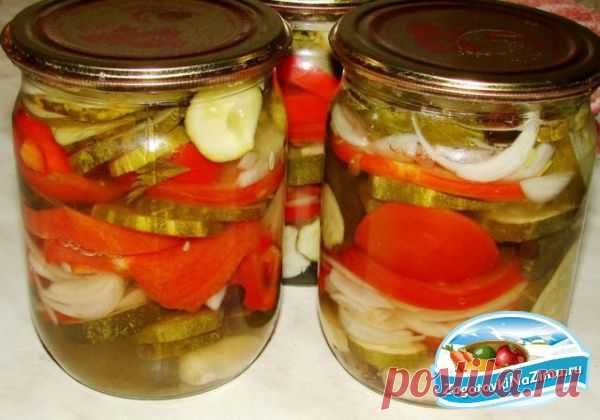 Салат овощной с желатином. Рецепт с пошаговыми фото