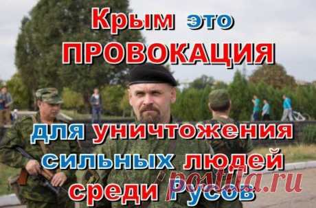 Для чего нужна провокация