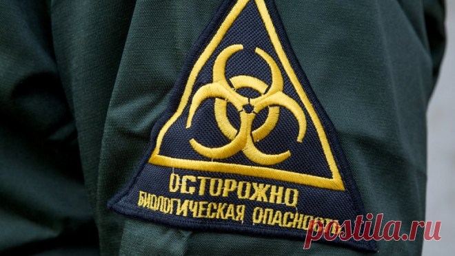 В МЧС рекомендуют брать с собой в больницу при COVID-19 минимум наличных и гаджеты - Новости Mail.ru