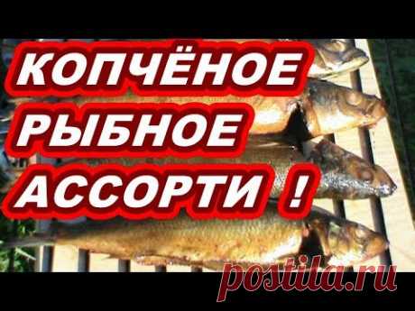 РЫБА  ГОРЯЧЕГО  КОПЧЕНИЯ !  3  ВИДА  РЫБЫ ! - YouTube