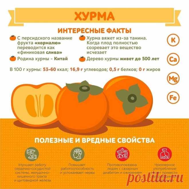 Хурма интересные факты