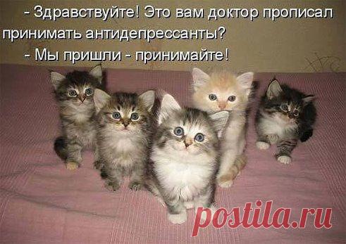 Одноклассники