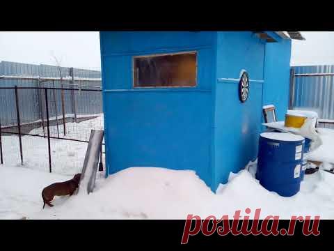 Как обогреть курятник без финансовых затрат, теплая подстилка