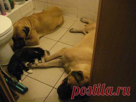 Ну очень жаркое лето!