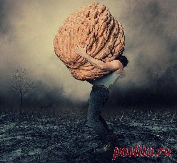 38 УРОКОВ: КАК НАЙТИ В СЕБЕ СИЛЫ

1. Вы – это не ваше прошлое. – Каким бы хаотичным ни было ваше прошлое, перед вами лежит чистый, свежий и открытый путь. Вы – это не ваши прошлые привычки. Вы – это не ваши прошлые ошибки. Вы – не то, как к вам кто-то когда-то относился. Вы – это только вы, здесь и сейчас. Вы – это ваши нынешние поступки.

2. Сосредоточьтесь на том, что у вас есть, а не том, чего у вас нет. – Вы – это тот человек, кем вы являетесь, и то, что у вас есть пря...