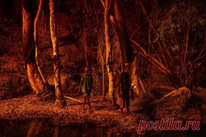 Победители World Press Photo 2022: лучшие фотографии