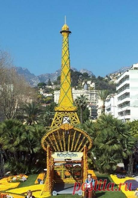 Фестиваль цитрусовых в столице лимонов Ментоне

Среди самых необычных праздников мира особое место занимает фестиваль лимонов в Ментоне, проходящий на берегу французской Ривьеры во второй половине февраля. На этот удивительный праздник собираются десятки тысяч французов и иностранных гостей. На средиземноморском побережье Франции лимонный фестиваль немного уступает по популярности разве что только знаменитому карнавалу в Ницце и гонкам «Формулы-1» в Монако.