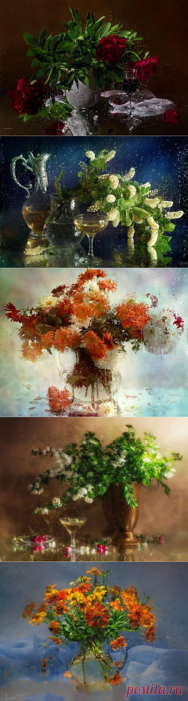 Натюрморты под дождем.