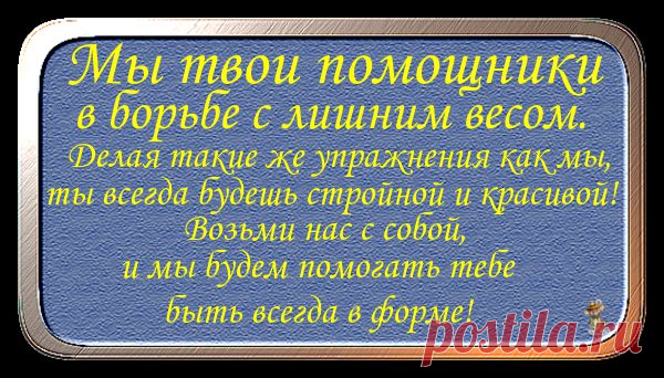 КАК ИЗБАВИТЬСЯ ОТ ЖИВОТА? ЛЕГКО!