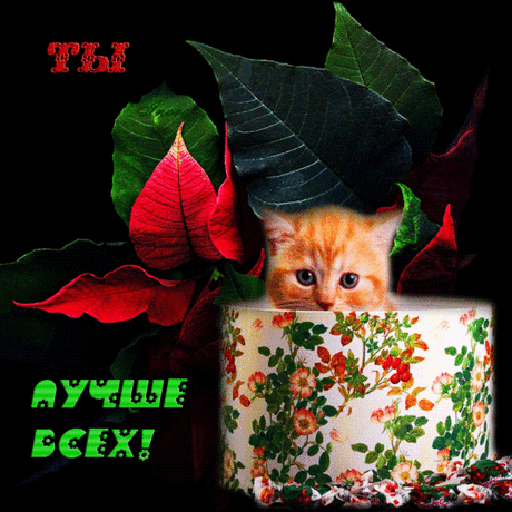 41333845.gif (600×600)