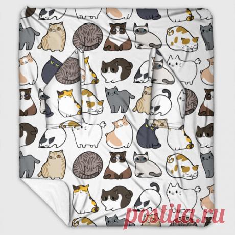 Вот такие котики. Животные.