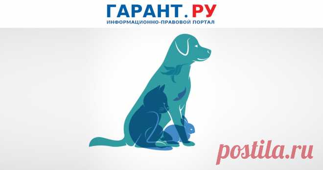 Обязательная СТЕРИЛИЗАЦИЯ домашних животных, регулирование численности бездомных животных, их маркирование и учет: новые предложения О пакете законопроектов, направленных на совершенствование законодательства в области обращения с животными, – в нашем материале.