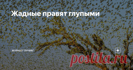 Жадные правят глупыми Как устроено современное общество. Почему в 70-е годы человечество отказалось покорять космос. Для чего возникло общество потребления  Есть такая наука – этология. Она изучает поведение животных. Однажды этологи обратили внимание на интересную закономерность в поведении австралийских волнистых попугайчиков. Они умеют предчувствовать наступление засухи. Засуха – это бескормица; большой стае в засуху не прокормиться, а значит, надо как-то сокращать свою...