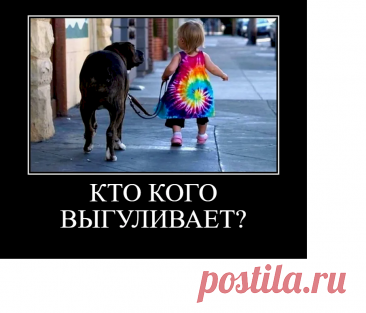 Выпуск №6750 - выпуск анекдотов сайта вокруг смеха