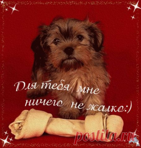 МУЗЫКА СЕРДЦА.СТИХИ
☾✵☝☜ ➊ ☞ СάМыé ЧéТкúé ♕ ☜ ➊ ☞ ☾