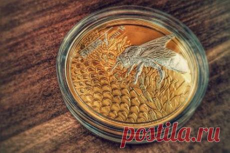 Dmitry Paponov (BeeApiaries) – Google+