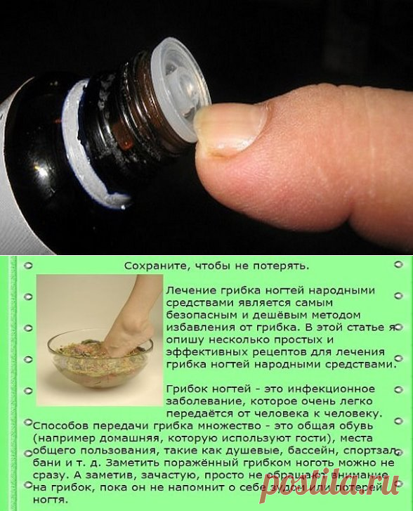(6) Одноклассники
