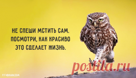Бесценный совет. Работает всегда: