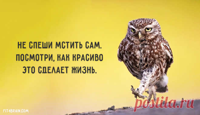 Бесценный совет. Работает всегда: